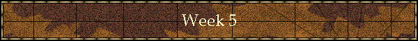 Week 5